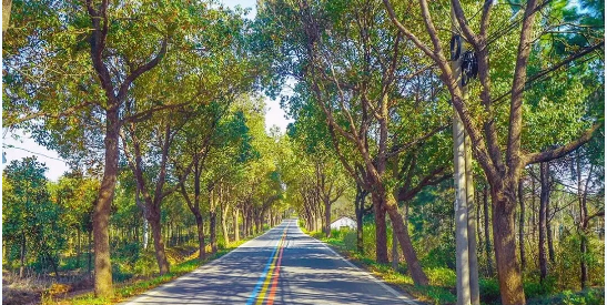 亚洲男人的天堂一区二区无码